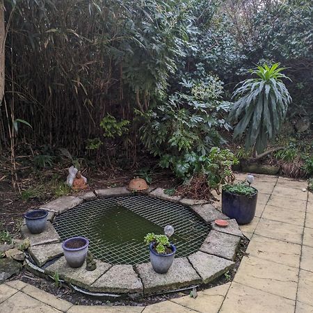 The Garden Apartment St Ives Eksteriør billede