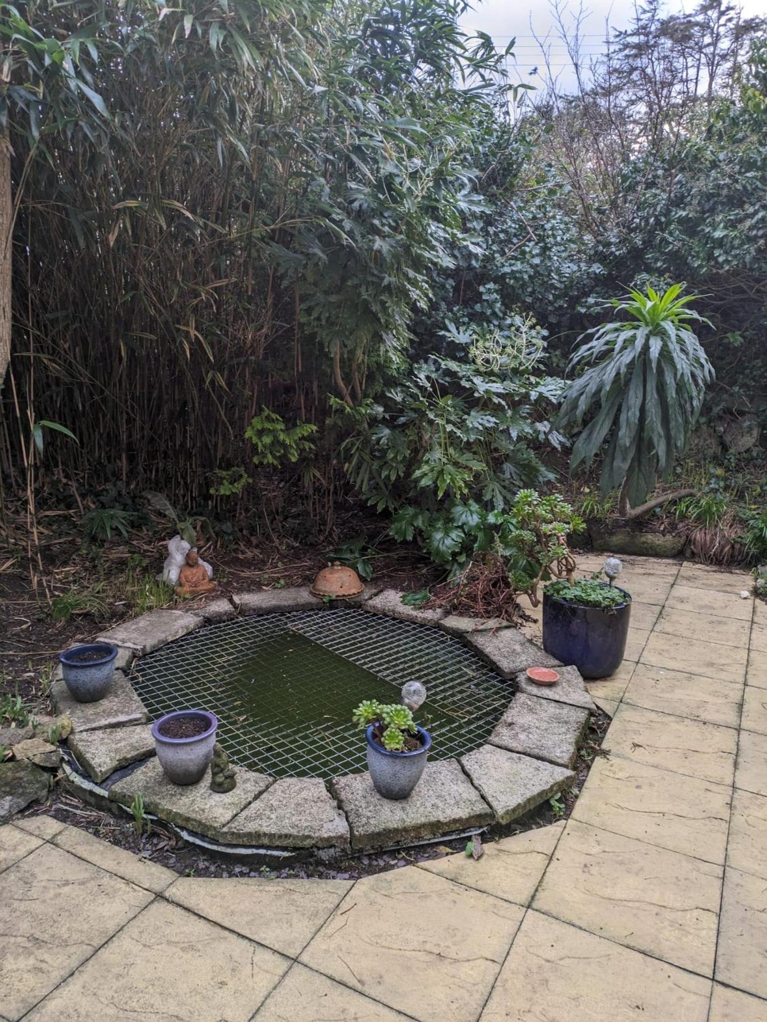 The Garden Apartment St Ives Eksteriør billede